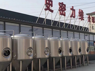 福建精酿啤酒设备厂—市场规模与跨界新需求
